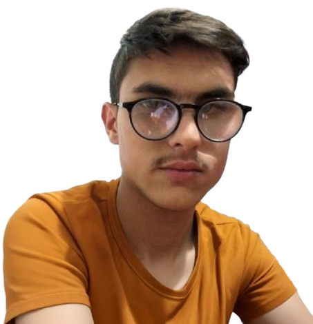 Hamid Dev